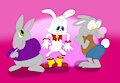 Funny Little Bunnies