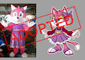 Sonic bootleg character - Pink Cat