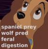 Lady and the wolf (Disney vore, RP)