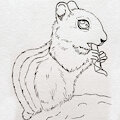 A wild "hamster" ;) by KiaraSLZ