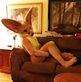 Fennec Fox sitting very cute by Mountainbluefoxjoe