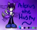 Alexus the Husky ref
