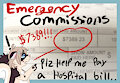 Emergency commissions to pay a hospital bill