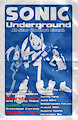 Sonic Underground Concert Poster