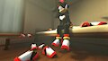Shadow's shoes