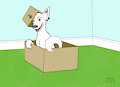A Wolf in a Box