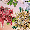 Adult coloring book - chrysanthemums by KiaraSLZ