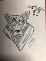 Legosi 2/3