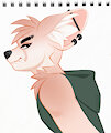 Angry Fox by Techagau