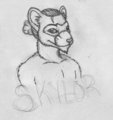 Skylor Badge by Beyo56