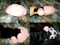 Plush Possum Paw (With Video) by Dombrus