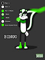 Bingo The Skunk
