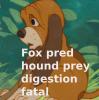 Fox and the hound: doggy dinner (Vore RP) by Anyonarex