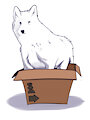 A Wolf in a Box