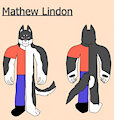 New Matthew Ref by FartgodAnubis