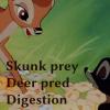 Bambi Snarfs a skunk by Anyonarex