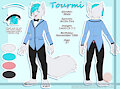 Tourmi Refsheet