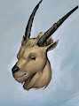 Ibex Portrait [C]