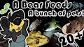 A Bear Feeds Pets