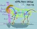 Horse Practise and Design