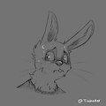 Headshot - Bunny by Tischotter