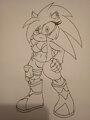 Sky the Hedgehog for Lynxcry by EmbertheArtist