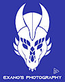 Exano's Logo [Gift Art]