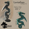 Leviathan by CyanideDragon