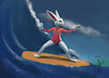 Surfing Cotton Tail