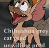 Oliver and company: Mexican Food