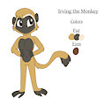 Irving Monkey Reference Sheet