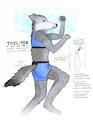 "TAIL-PRO" Flyer - featuring my fursona Nyla Wolf by NylaWolf