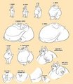 Commissioner's Reference: Weight Gain by tato
