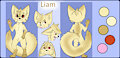 Liam Reference Sheet