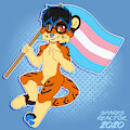 Trans pride