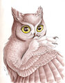 Screech Owl by AbsintheKitsune