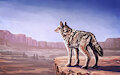 Coyote by WerewolfDegenerate