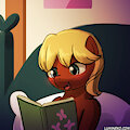 Reading Before Bedtime
