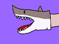 Shark Puppet