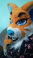 Fursuit cute foxy