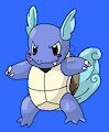 pokemon 08 - wartortle