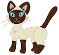 Siamese Cat