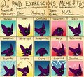 PMD Expressions Meme - Gem
