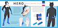 Hero2020 by Snofu