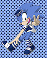 Summer outfit Sonic by CanadienMaple