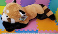 (Made-To-Order) Modded Red Panda Plush 36" by StuffMyStuffies