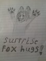 Surprise fox hugs