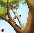 Treetop Seeking
