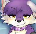 Purple femboy fox