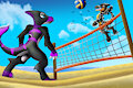 Beach Volleyball (Commissions)